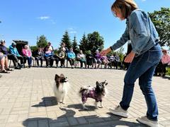 ВЫХОДНЫЕ С ПОЛЬЗОЙ